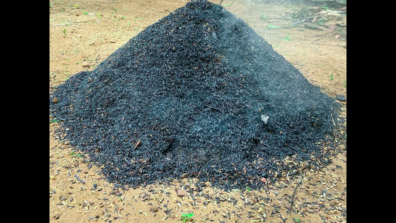 Setting the stage for success 