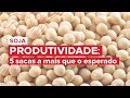 Saiba como ter mais produtividade no campo!