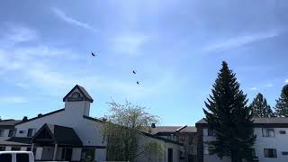 CH-47 Helicopters (Montana National Guard) by Medium Effort  30 views 2 weeks ago 54 seconds