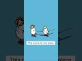 When Duck Becomes a One Piece Fan 🦆🏴☠️. #onepiece #trending #anime #zoro #luffy