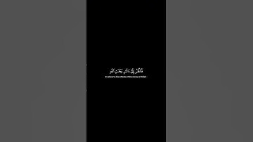 فانظر الى اثر رحمت الله كيف يحي الارض بعد موتها | سورة الروم ٣٠ | ياسر الدوسري | كرومات قران كريم