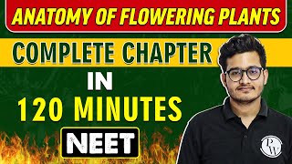 ANATOMY OF FLOWERING PLANTS in 120 minutes || Complete Chapter for NEET