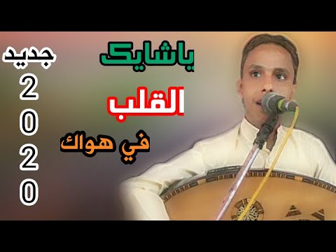 الفنان اصيل علي ابوبكر ياشايك القلب في هواك طرب على كيفك من اغاني الفنان حسين محب 