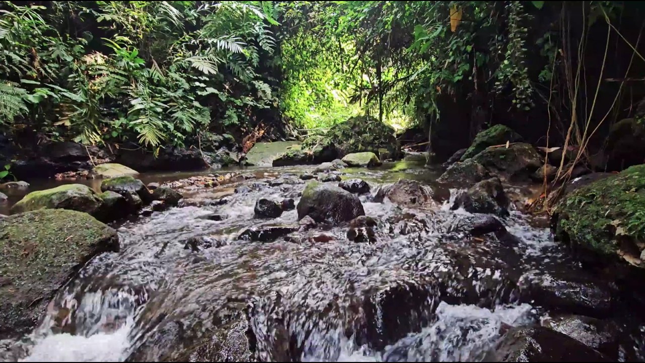 Deep Sleep River Sounds – Soothing Water Noise to Fall Asleep Fast