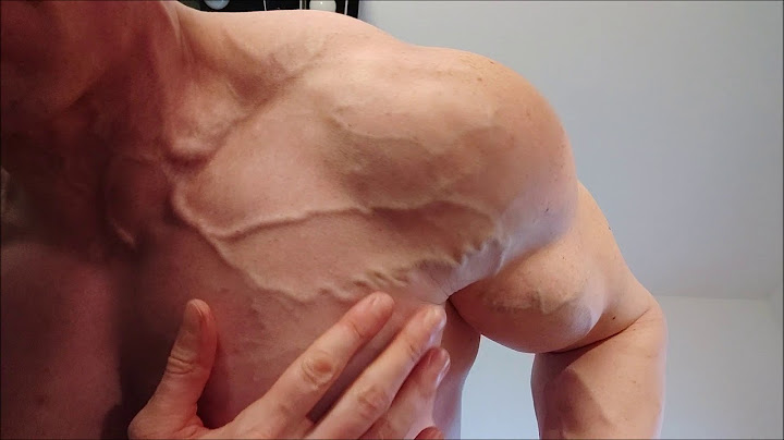 German Muscle God Members Update