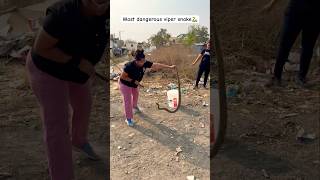 😳😱womens rescue world deadliest viper snake🐍🐍🐍 #omg #viral #shorts