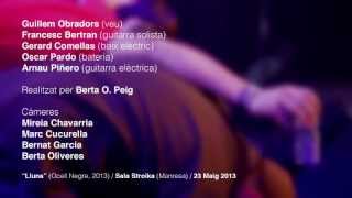 Barralliure - Ocell Negre 2013 - Lluna Videoclip Oficial