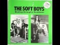 The Soft Boys - Wading Through a Ventilator