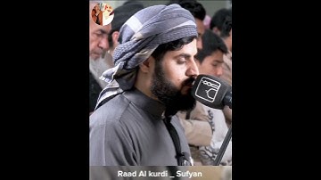 Raad Al kurdi Whatsapp status / رعد الكردي حالات واتس اب / سورة يوسف الشيخ رعد بن محمد الكردي