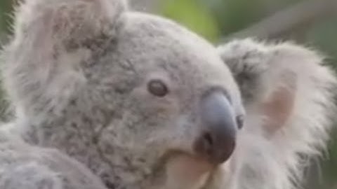 Why to Delete your System32 Folder