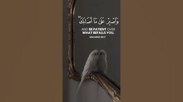 سورة هود #القران #القران_الكريم #المصحف #لايك #تيك_توك #اكسبلور
