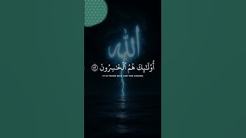 تلاوة خاشعة من القرآن الكريم بصوت القارئ عبدالرحمن مسعد