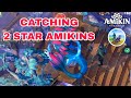 🔶 AMIKIN VILLAGE | CATCHING 2 ✨STAR AMIKINS IN RUSTED SHALLOWS |130