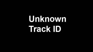 Unknown Track ID Flying High