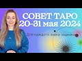 Совет ТАРО с 20-31 мая 2024 ВСЕМ ЗНАКАМ ЗОДИАКА  | Ефремова Анна