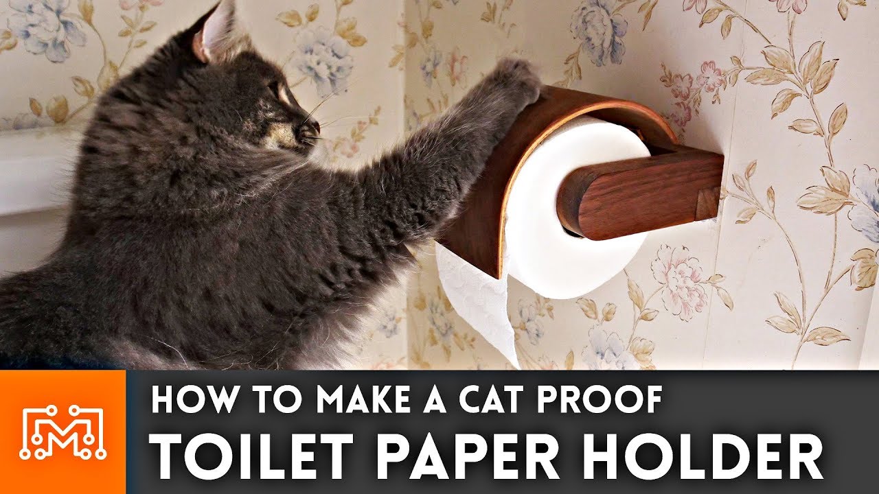 Cat Proof Toilet Paper Holder // Bent Lamination | I Like To Make Stuff -  YouTube