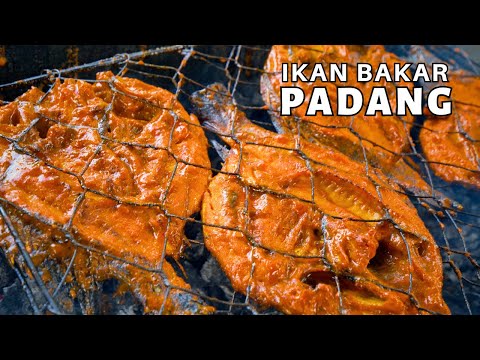 Nikmati Sensasi Ikan