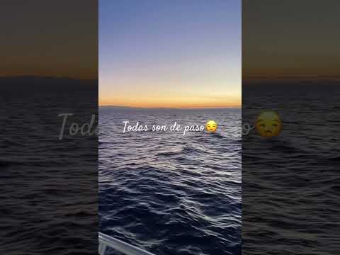 Fui tú casi algo💔 - YouTube