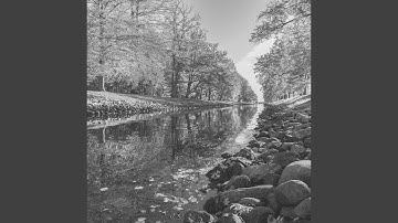 High-class Backdrops for Fall Adventures