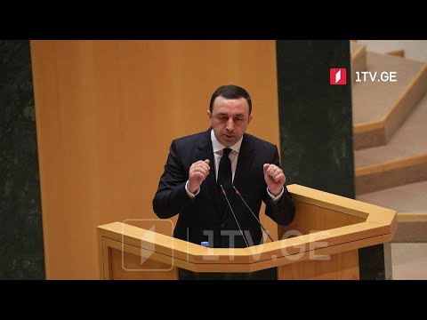 პრემიერ-მინისტრის გამოსვლა ხმაურის ფონზე