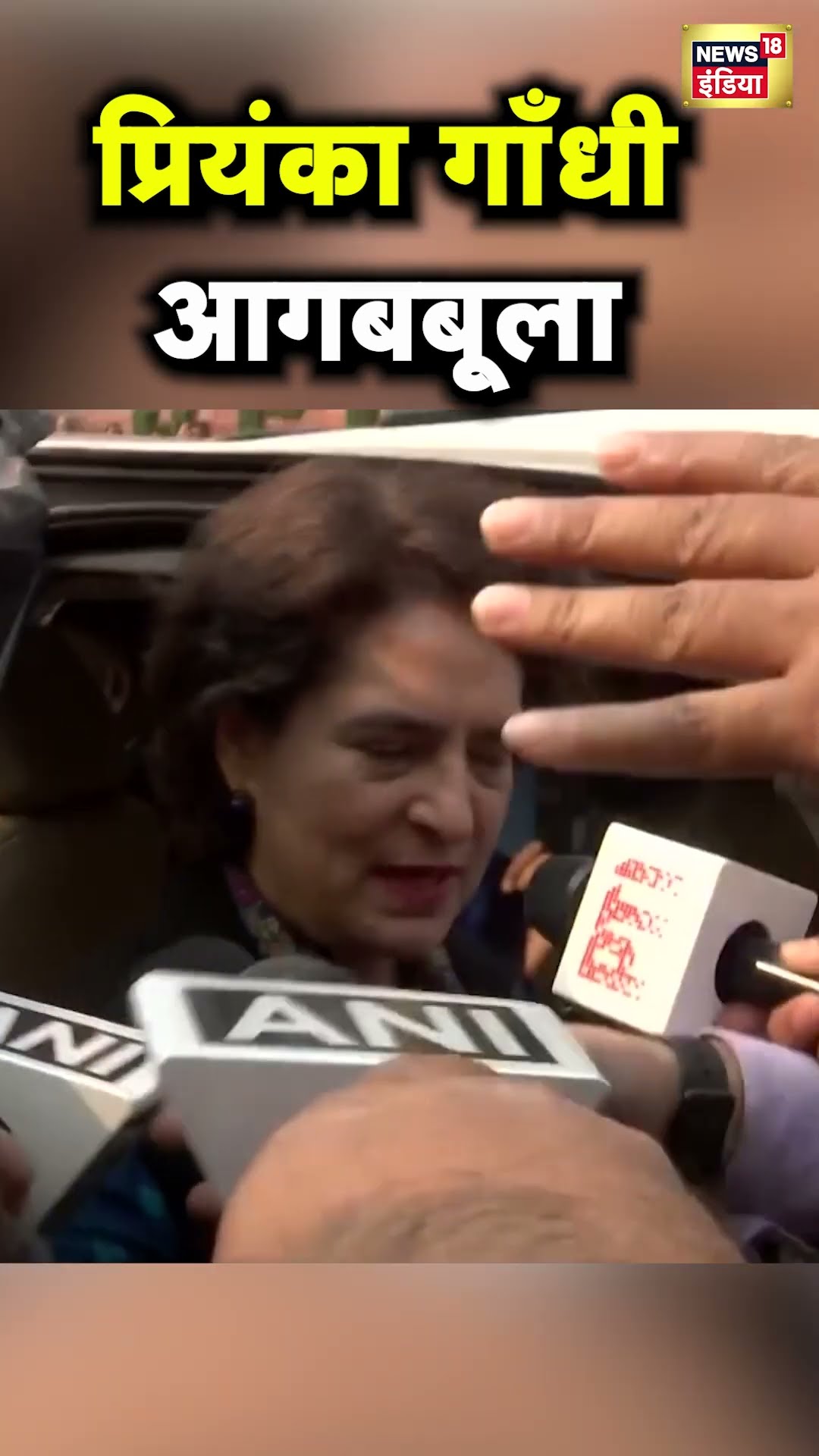 Priyanka Gandhi ने Rahul Gandhi पर FIR को फालतू बताया | Pratap Sarangi | Hindi News | N18S