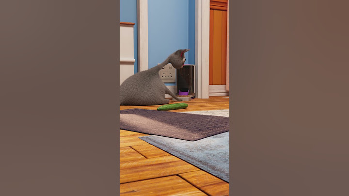 Cat vs cucumber