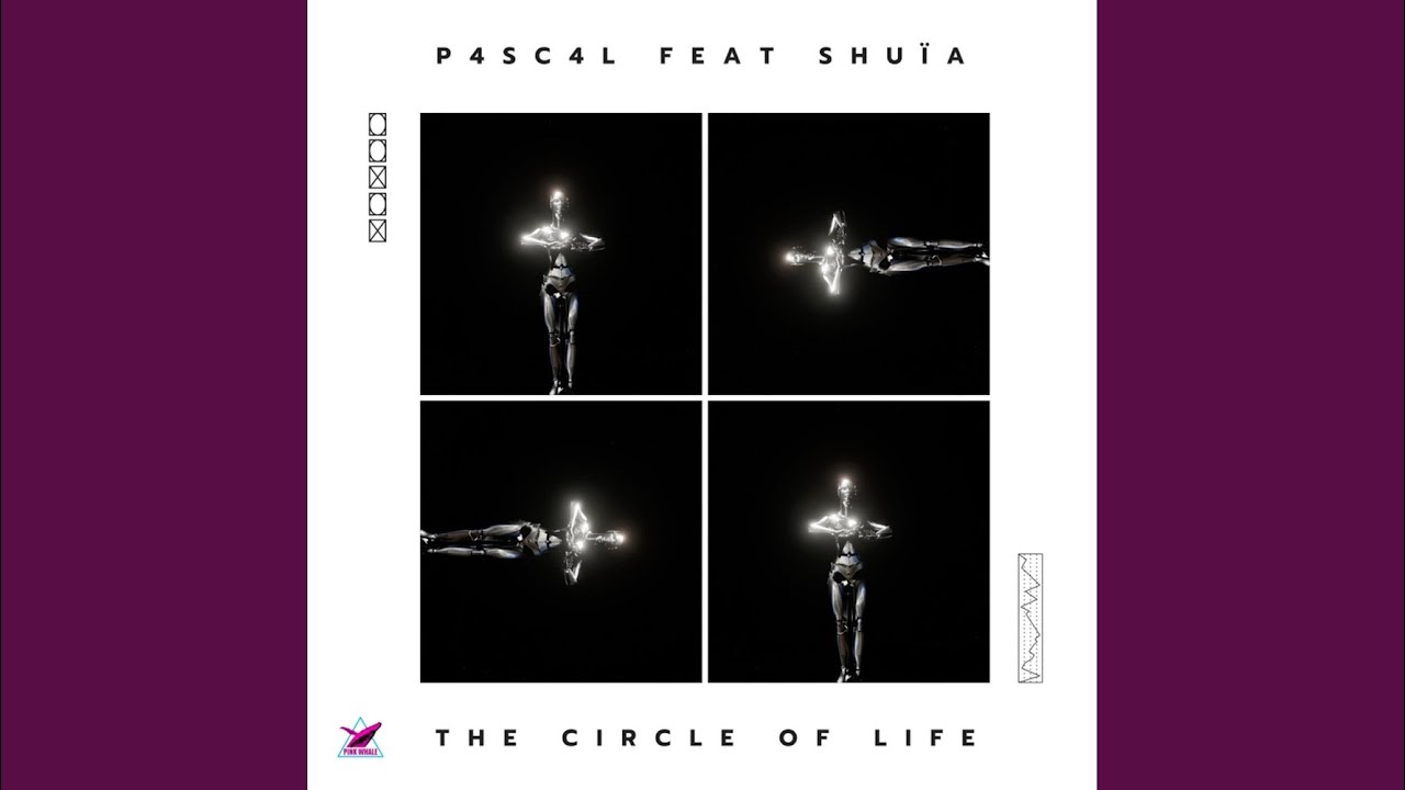 The Circle Of Life - YouTube