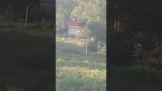 campinho de futebol de bom princípio Brasília Caucaia ceará