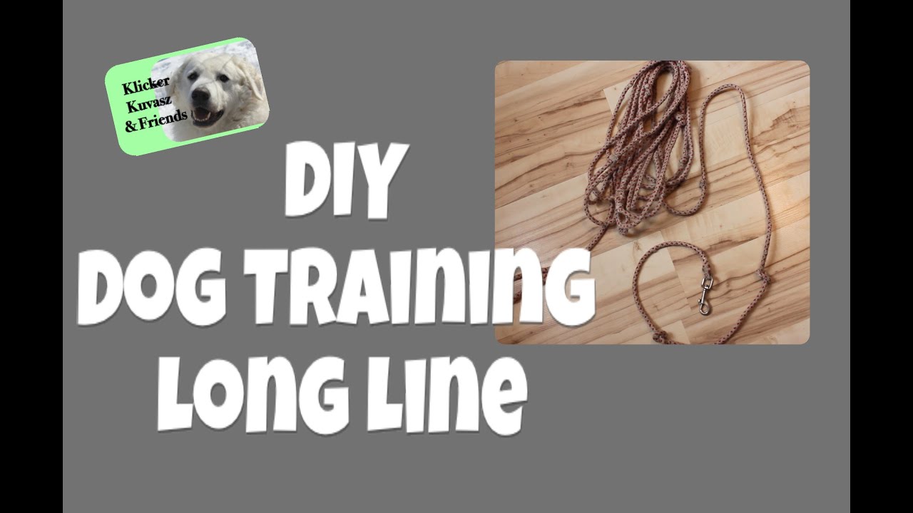 long line dog training