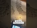 Интерьеры Шехтеля. Мебель Горького. Пролетарский писатель прожил в буржуйском доме 5 лет.