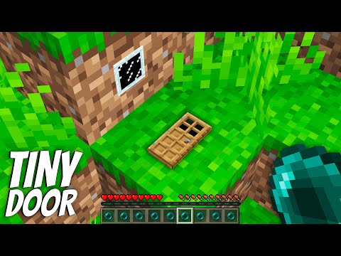 I found a SECRET HOUSE inside TINY DOOR in Minecraft ! What's INSIDE the UNDERGROUND HOUSE ?