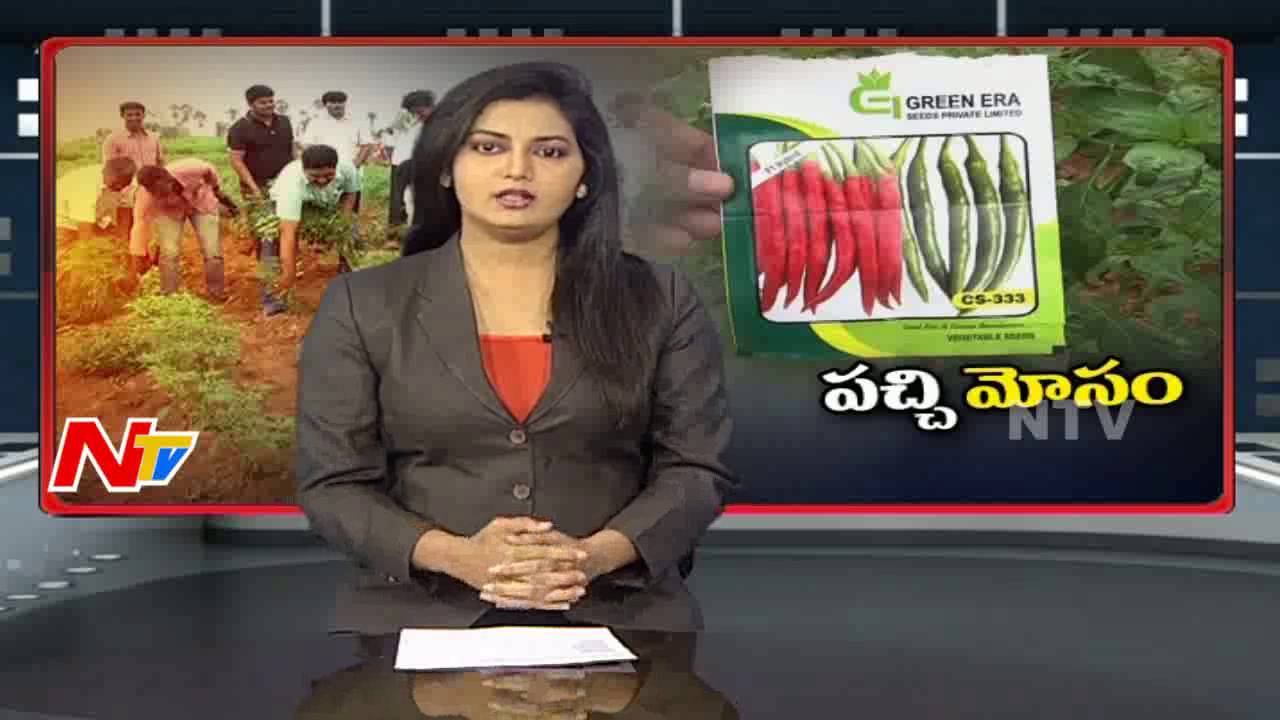Special Report on Fake Seeds || Khammam || NTV
