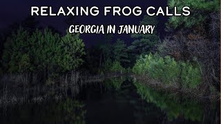 Georgia in January: 1 Hour of Native Frog Calls to Fall Asleep To