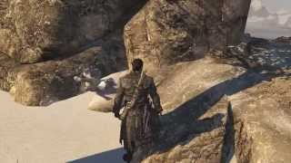 Assassin's Creed Rogue Танец канадской рыси