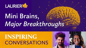 Mini Brains, Major Breakthroughs: What