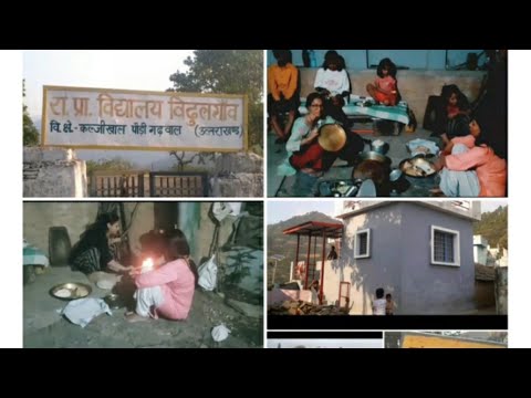 बिदुल गांव||Bidul Gaon#paurigarhwal#villagelife#villagetourvlog#pahadi#negi#uttarakhand