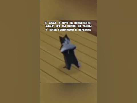 Гопники в переулке. #мем #гопники #танцы #кот - YouTube