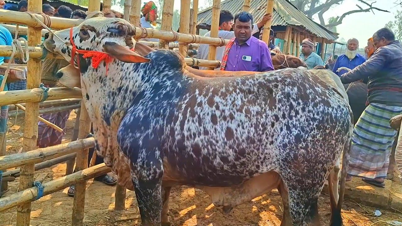 @আজ ২৫ ফেব্রুয়ারী