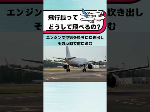 飛行機ってどうして飛べるの？#都音ゆずたみ #雑学 #豆知識