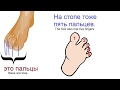 № 405 Русский с нуля : названия пальцев.