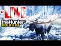 Trophy Hunting with the Muzzleloader | LIVE