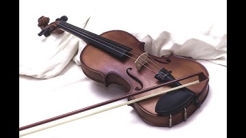 Violin family sounds Violin, Viola, Cello, Double bass(Contra bass)