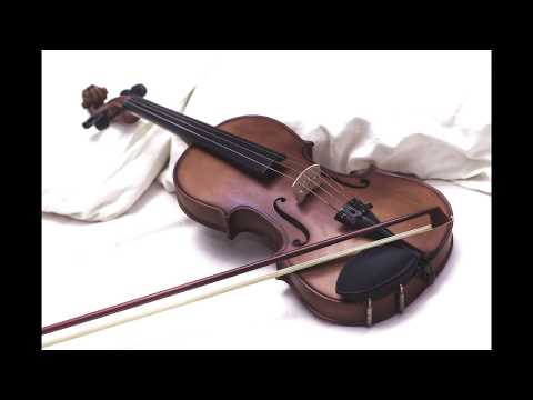Violin Family Sounds Violin Viola Cello Double Bass Contra Bass
