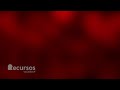 Video Background Red Glory 4K