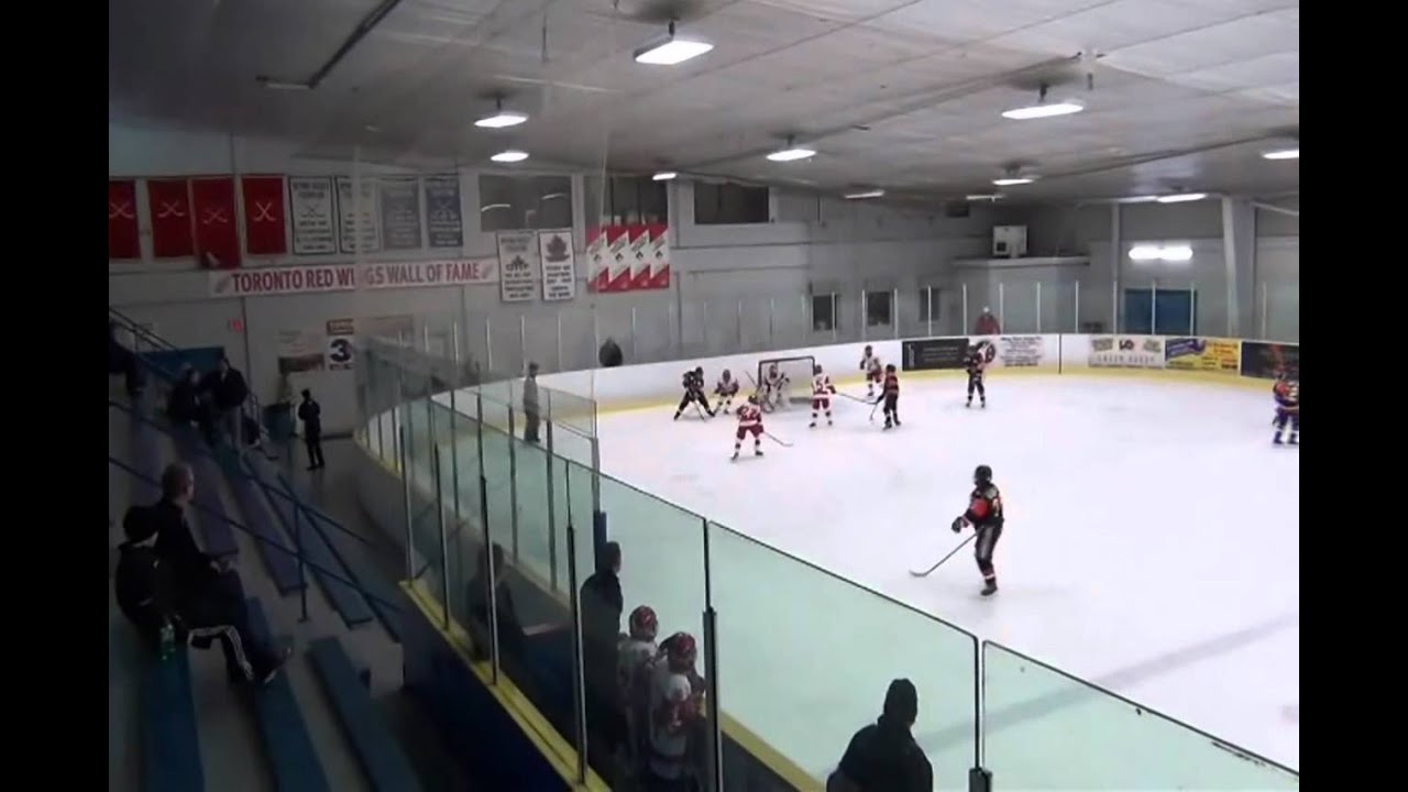 The 10 Best Hockey Goals YouTube
