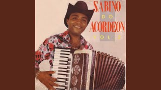 Video thumbnail of "Sabino do Acordeon - Coração Bate Forte"