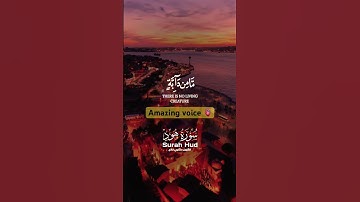 سورة هود - Surah hud 🌹. #اكسبلور #القزابري #quranchapter #تيك_توك #quranverse #لايك #المصحف #quran