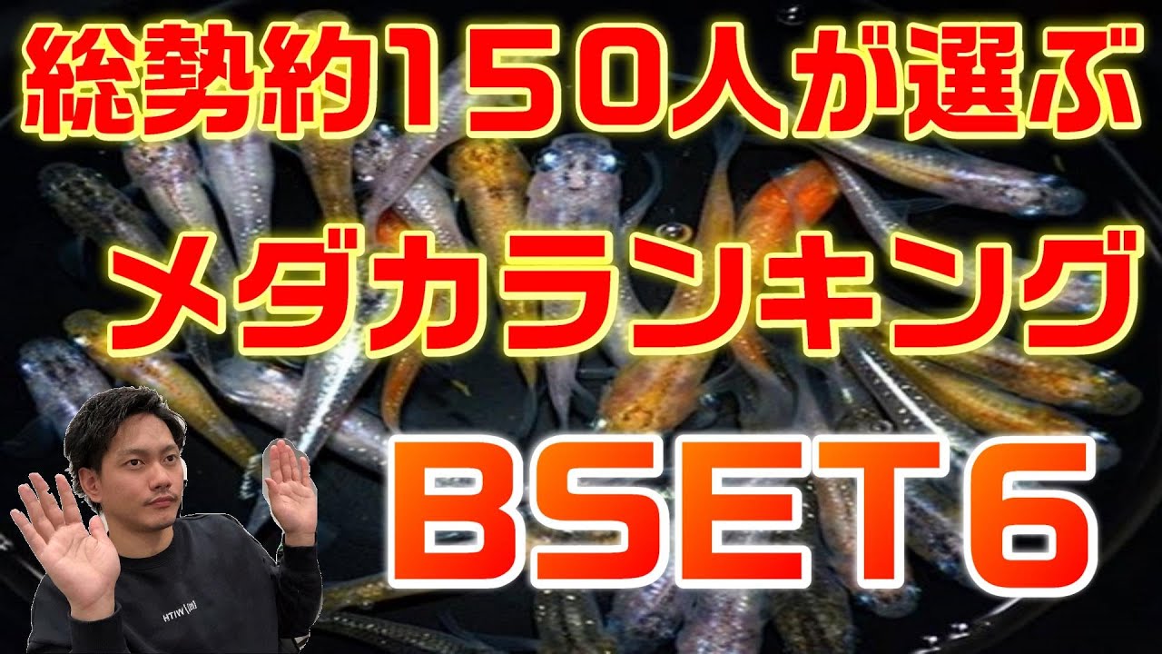 メダカ品種ランキング 合計130人から選ばれ1位に輝いたのはまさかの Youtube