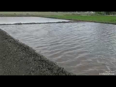 ألف حمد وشكر ليك يارب