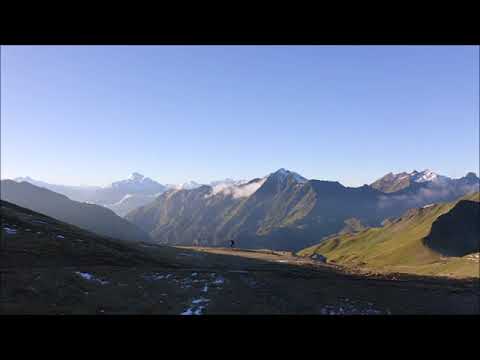 Vidéo: Astra Est Une étrangère Des Montagnes Alpines. Variété Variétale